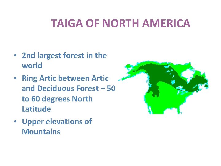 TAIGA OF NORTH AMERICA • 2 nd largest forest in the world • Ring