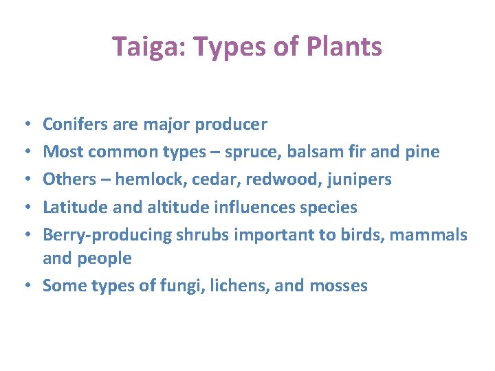 Taiga: Types of Plants Conifers are major producer Most common types – spruce, balsam