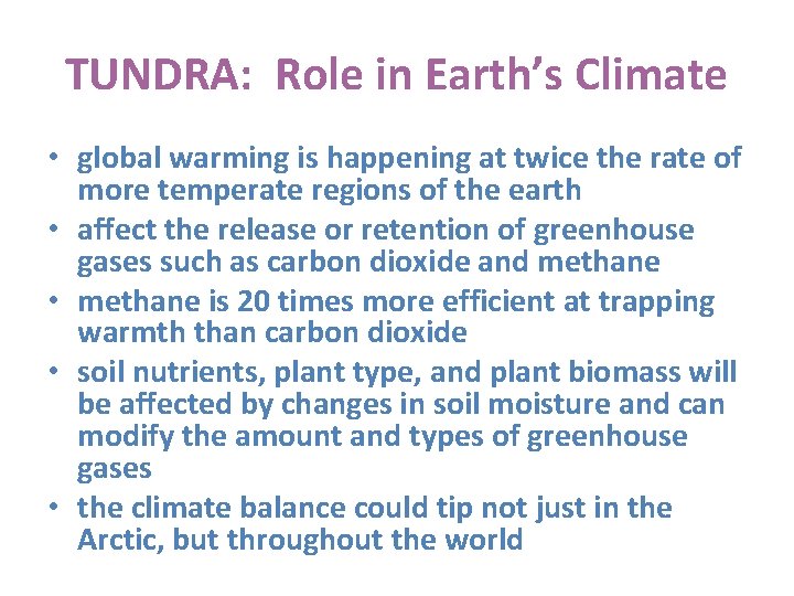 TUNDRA: Role in Earth’s Climate • global warming is happening at twice the rate