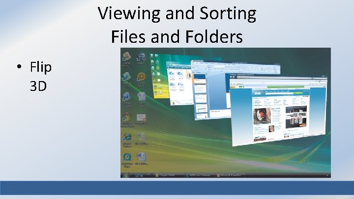 Viewing and Sorting Files and Folders • Flip 3 D 21 