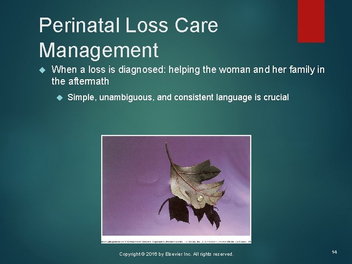 Perinatal Loss Care Management When a loss is diagnosed: helping the woman and her