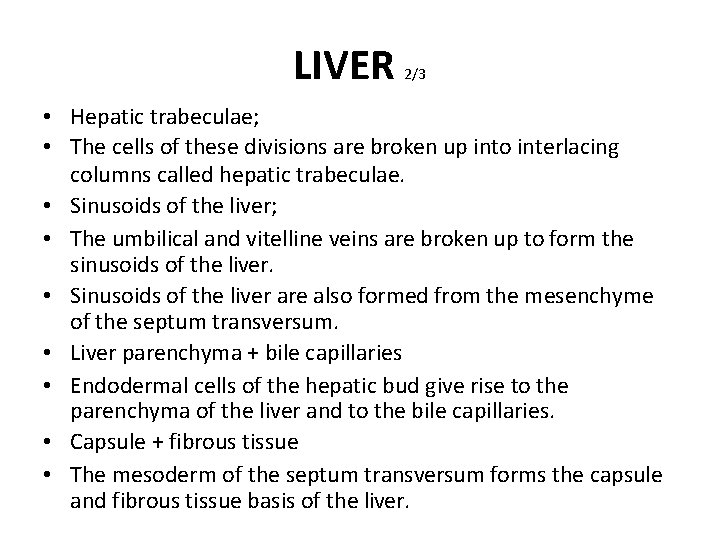 LIVER 2/3 • Hepatic trabeculae; • The cells of these divisions are broken up