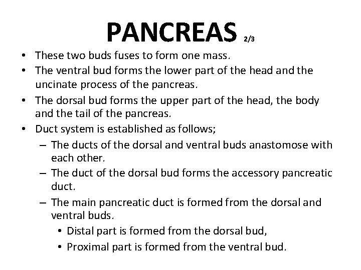 PANCREAS 2/3 • These two buds fuses to form one mass. • The ventral