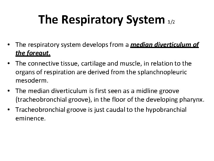 The Respiratory System 1/2 • The respiratory system develops from a median diverticulum of
