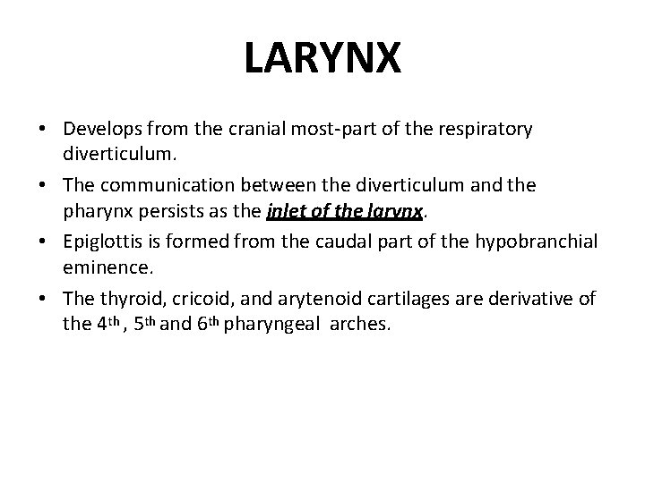 LARYNX • Develops from the cranial most-part of the respiratory diverticulum. • The communication