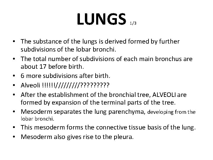 LUNGS 1/3 • The substance of the lungs is derived formed by further subdivisions