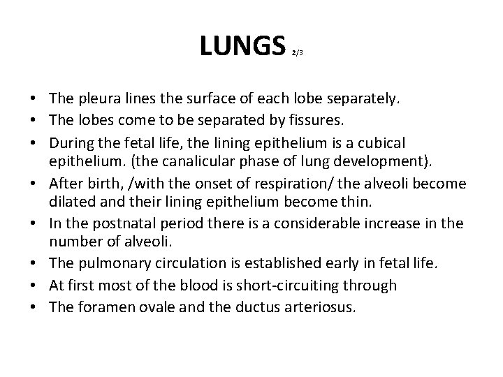 LUNGS 2/3 • The pleura lines the surface of each lobe separately. • The