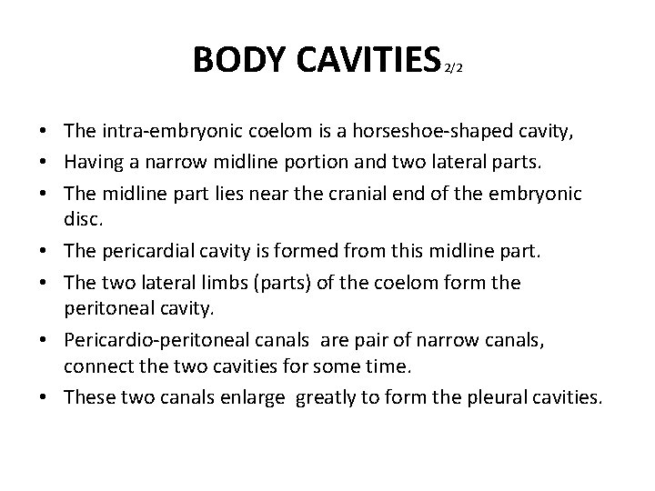 BODY CAVITIES 2/2 • The intra-embryonic coelom is a horseshoe-shaped cavity, • Having a