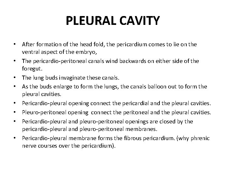 PLEURAL CAVITY • After formation of the head fold, the pericardium comes to lie