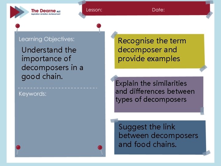 Understand the importance of decomposers in a good chain. Recognise the term decomposer and