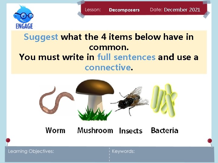 Decomposers December 2021 Suggest what the 4 items below have in common. You must
