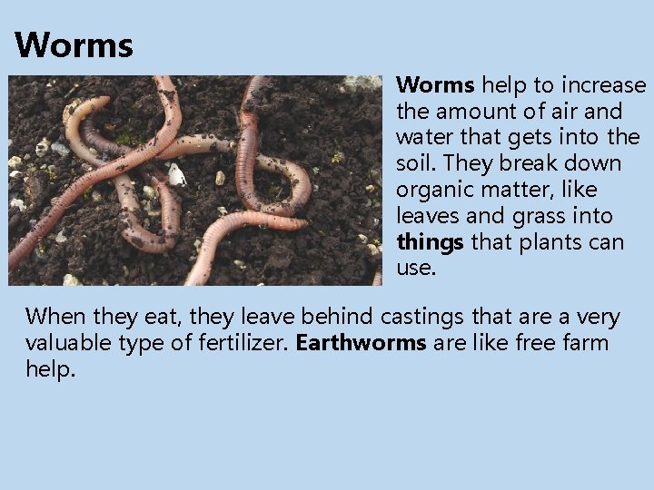 Worms help to increase the amount of air and water that gets into the