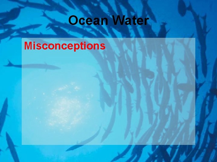 Ocean Water Misconceptions 