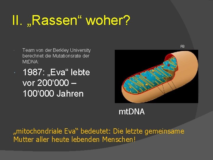 II. „Rassen“ woher? Team von der Berkley University berechnet die Mutationsrate der Mt. DNA: