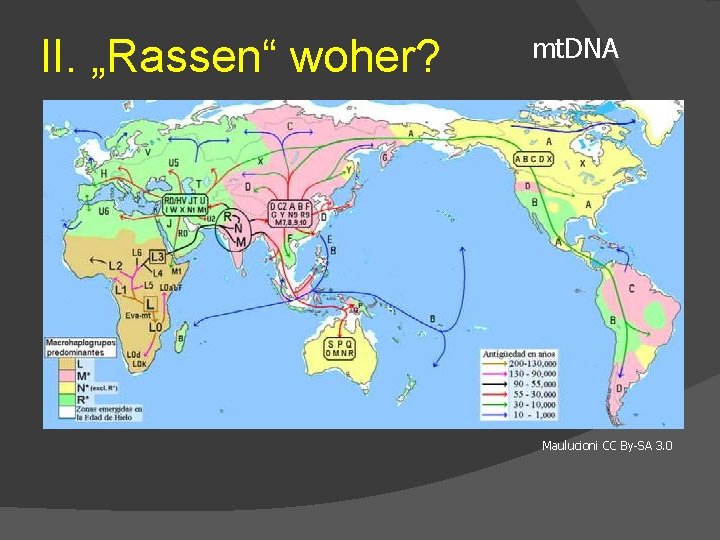 II. „Rassen“ woher? mt. DNA Maulucioni CC By-SA 3. 0 