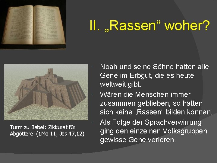 II. „Rassen“ woher? Noah und seine Söhne hatten alle Gene im Erbgut, die es