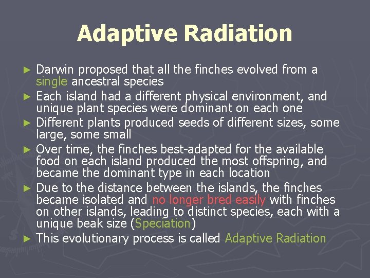 Adaptive Radiation Darwin proposed that all the finches evolved from a single ancestral species