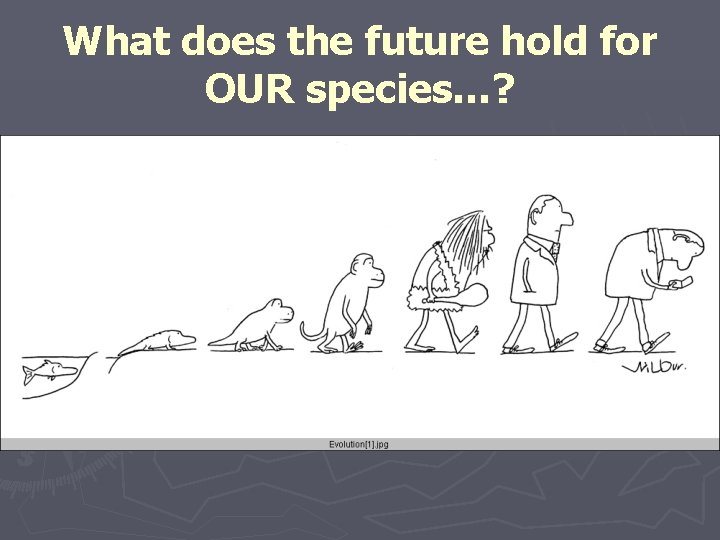 What does the future hold for OUR species…? 