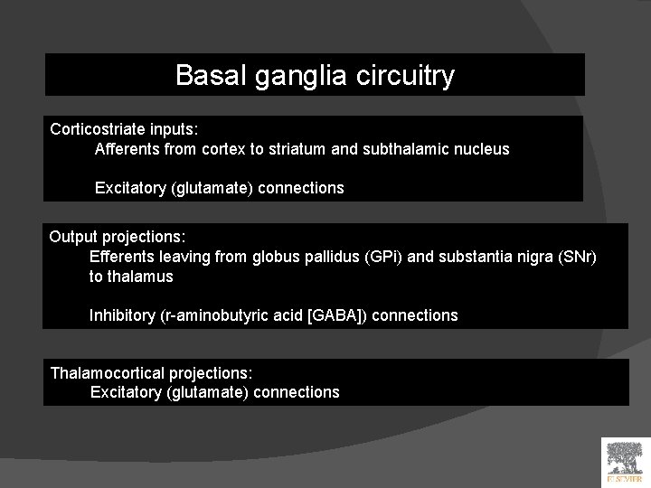 Basal ganglia circuitry Corticostriate inputs: Afferents from cortex to striatum and subthalamic nucleus Excitatory