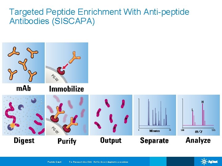 Targeted Peptide Enrichment With Anti-peptide Antibodies (SISCAPA) Peptide Quant For Research Use Only. Not