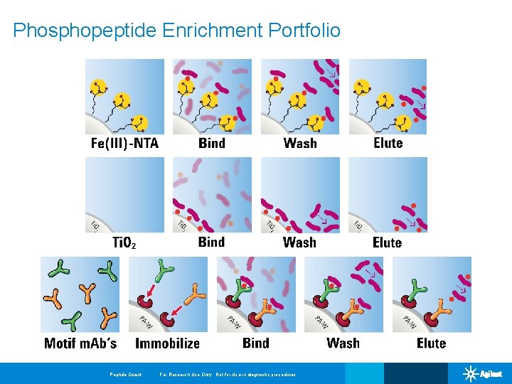 Phosphopeptide Enrichment Portfolio Peptide Quant For Research Use Only. Not for Use in diagnostic