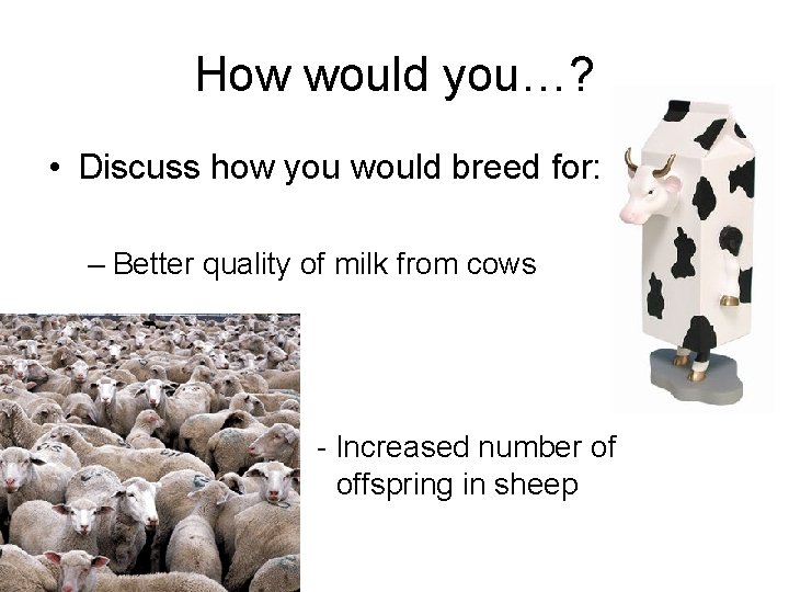 How would you…? • Discuss how you would breed for: – Better quality of