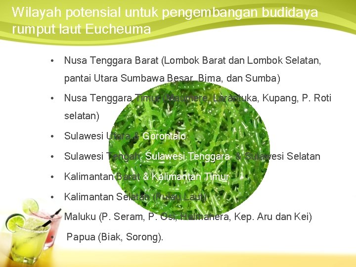 Wilayah potensial untuk pengembangan budidaya rumput laut Eucheuma • Nusa Tenggara Barat (Lombok Barat