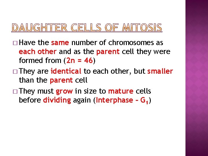 � Have the same number of chromosomes as each other and as the parent