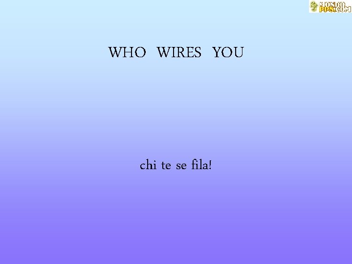 WHO WIRES YOU chi te se fila! 