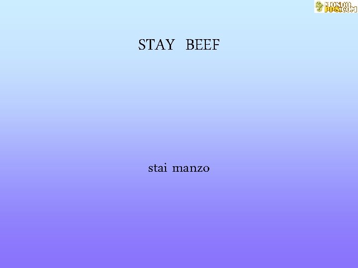 STAY BEEF stai manzo 