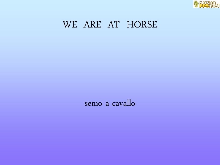 WE ARE AT HORSE semo a cavallo 