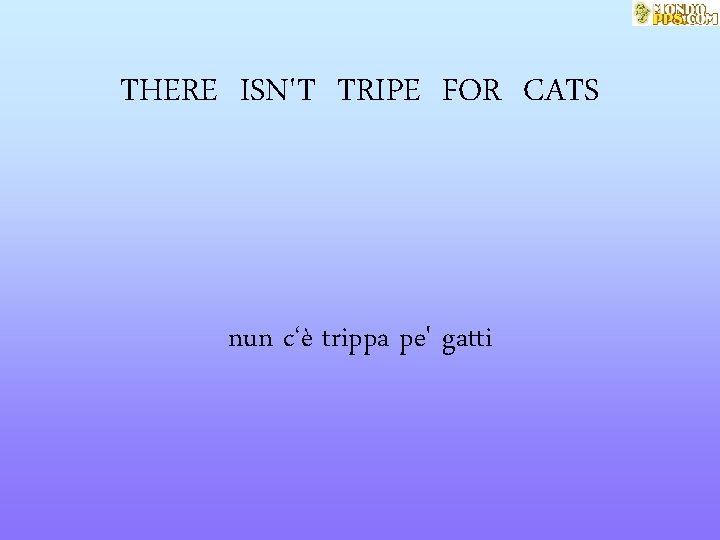 THERE ISN'T TRIPE FOR CATS nun c‘è trippa pe' gatti 