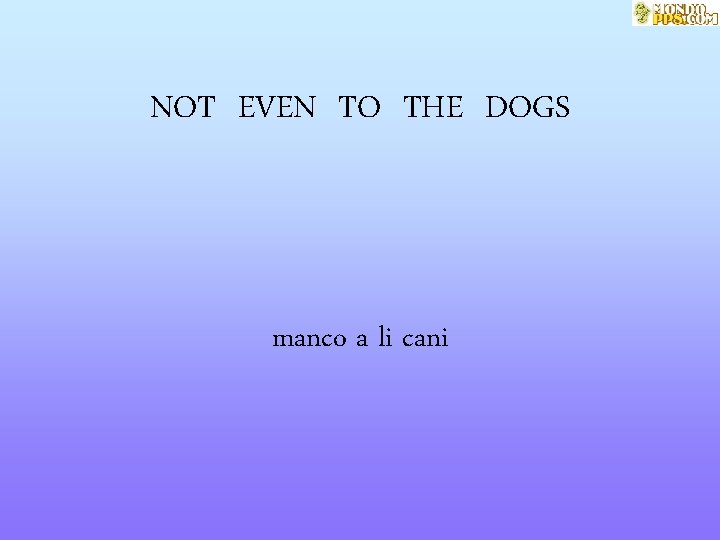 NOT EVEN TO THE DOGS manco a li cani 