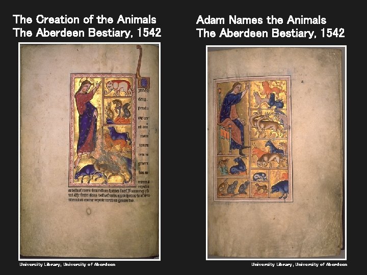 The Creation of the Animals The Aberdeen Bestiary, 1542 University Library, University of Aberdeen