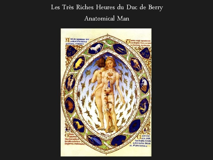 Les Très Riches Heures du Duc de Berry Anatomical Man 