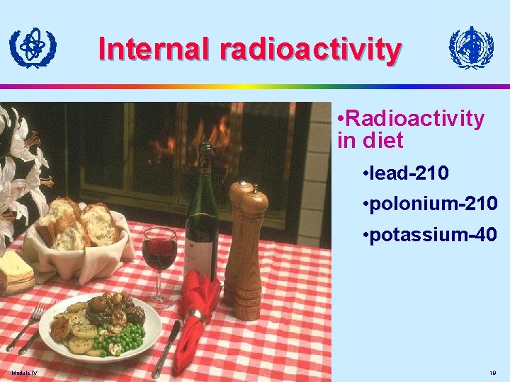 Internal radioactivity • Radioactivity in diet • lead-210 • polonium-210 • potassium-40 Module IV