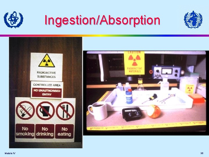 Ingestion/Absorption Module IV 35 