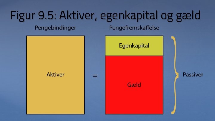 Figur 9. 5: Aktiver, egenkapital og gæld 