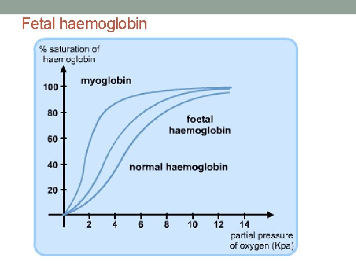 Fetal haemoglobin 