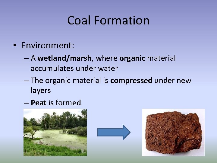 Coal Formation • Environment: – A wetland/marsh, where organic material accumulates under water –