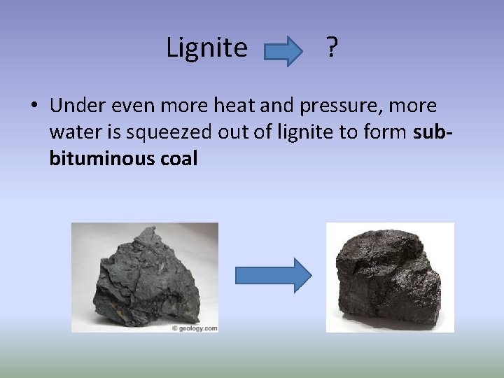 Lignite ? • Under even more heat and pressure, more water is squeezed out