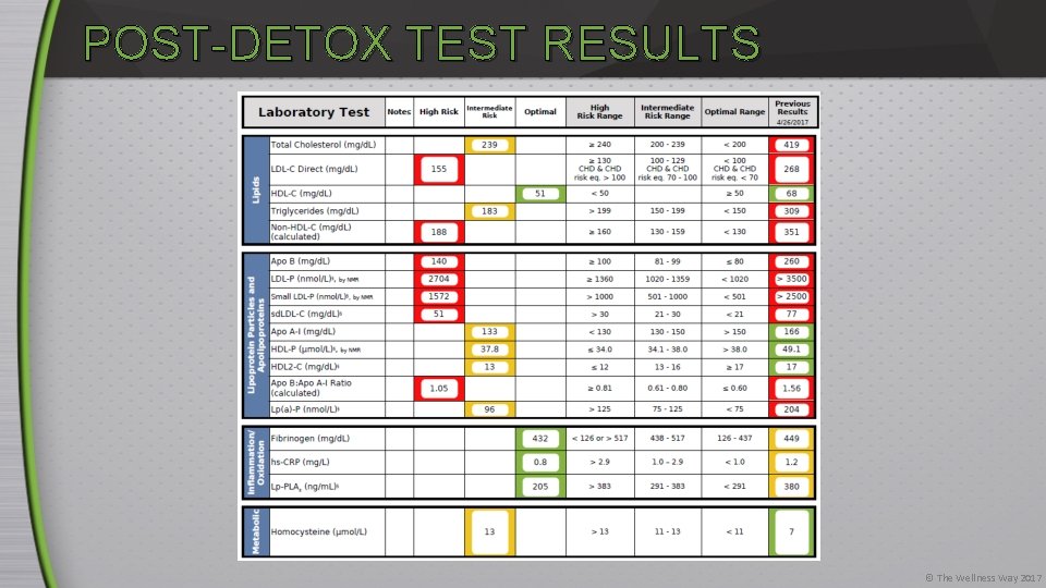 POST-DETOX TEST RESULTS © The Wellness Way 2017 