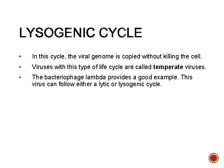 § In this cycle, the viral genome is copied without killing the cell. §