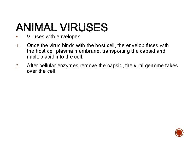 § Viruses with envelopes 1. Once the virus binds with the host cell, the
