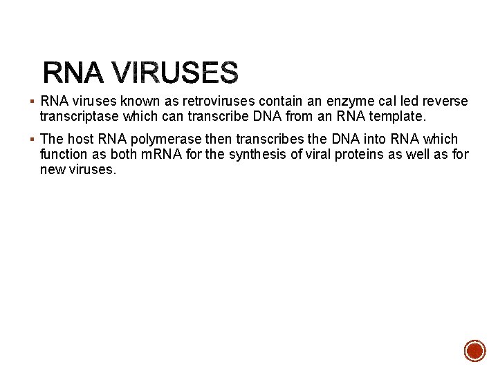 § RNA viruses known as retroviruses contain an enzyme cal led reverse transcriptase which