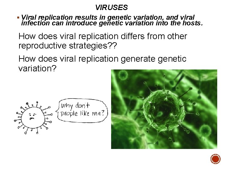 VIRUSES § Viral replication results in genetic variation, and viral infection can introduce genetic