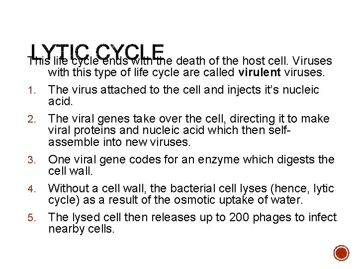 This life cycle ends with the death of the host cell. Viruses with this
