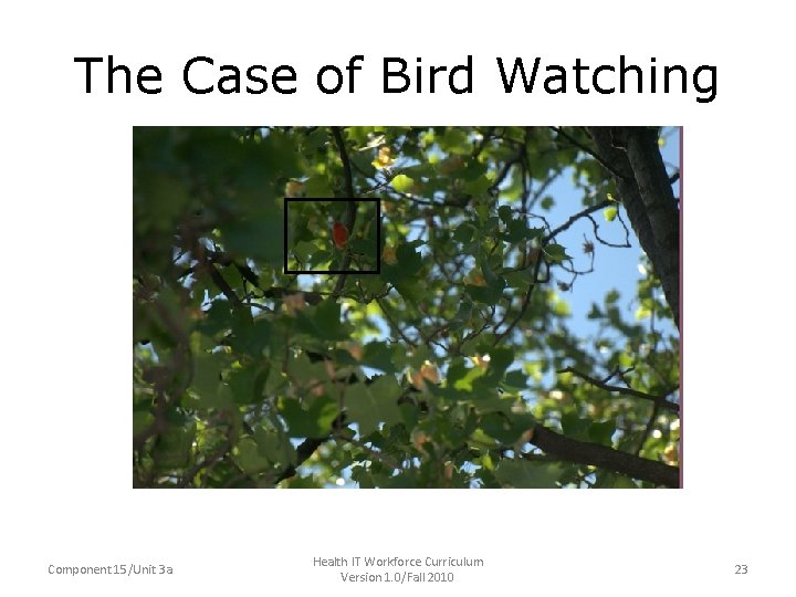 The Case of Bird Watching Component 15/Unit 3 a Health IT Workforce Curriculum Version