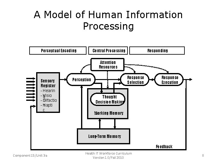A Model of Human Information Processing Perceptual Encoding Central Processing Responding Attention Resources Sensory
