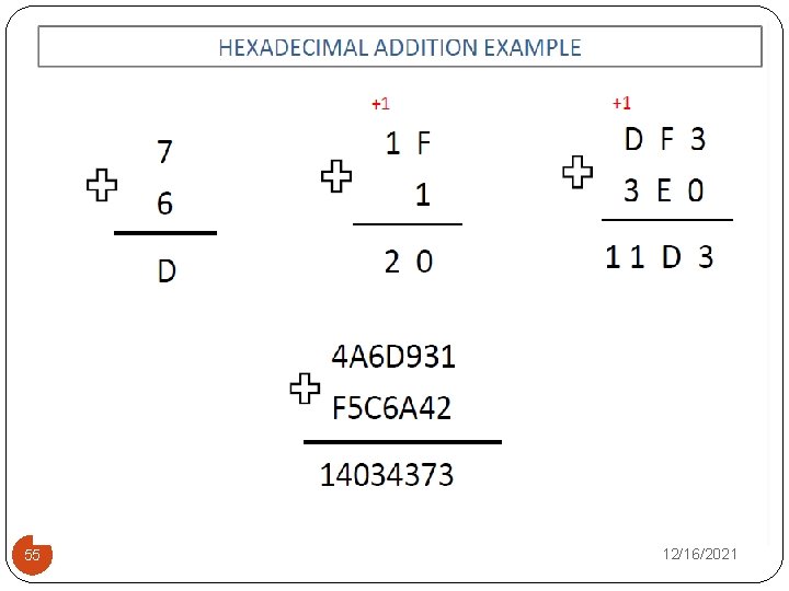 55 12/16/2021 